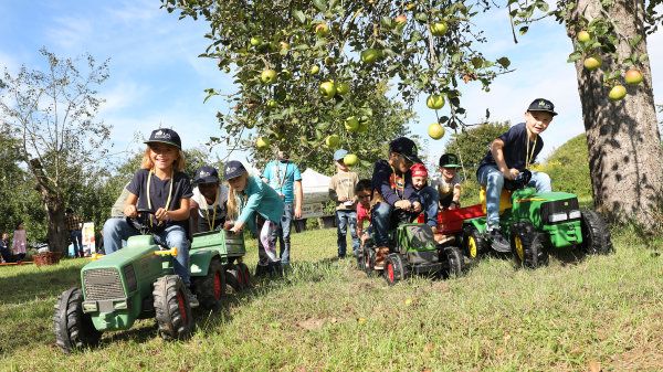 Begeisterte Schulkinder beim Äpfel sammeln. Bild: LfL.
