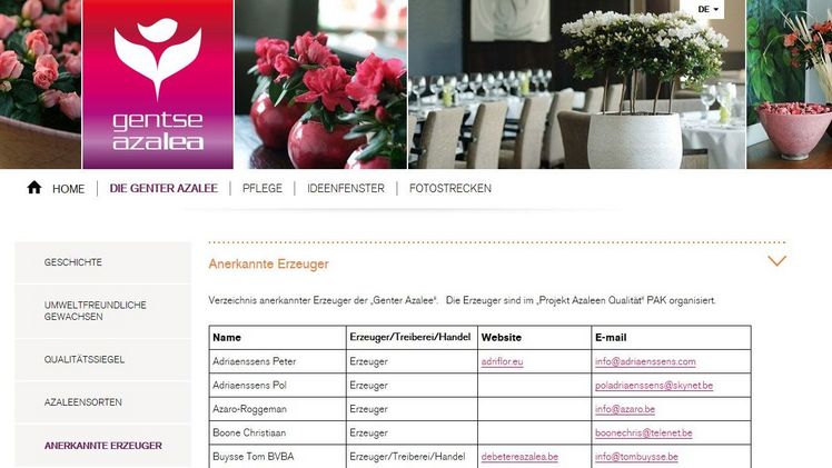 Neuer Internet-Auftritt belgischer Azaleen-Erzeuger.  Neuer Internet-Auftritt belgischer Azaleen-Erzeuger.