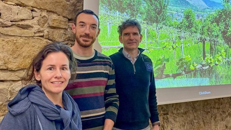 Susanne Röhl, Jakob Hörl und Prof. Dr. Markus Frank (r.) stellten das Forschungsprojekt Vitiforst vor. Bild: HfWU.