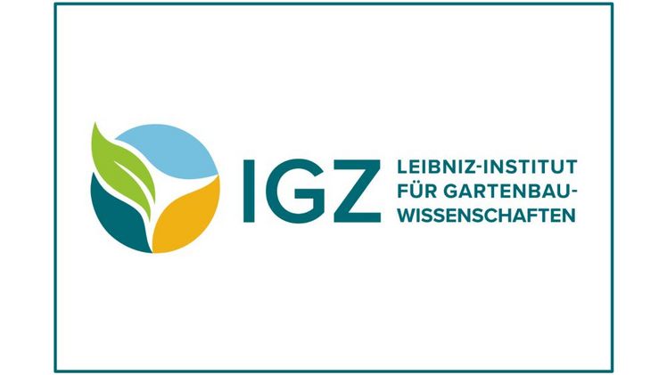 Neues Logo des Leibniz-Instituts für Gartenbauwissenschaften (IGZ). Bild: © IGZ.