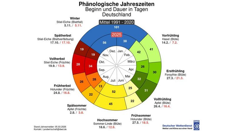 Phänologische Uhr im Vergleich 2025 mit 1991-2025. Grafik: © DWD.