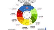 Phänologische Uhr im Vergleich 2025 mit 1991-2025. Grafik: © DWD.