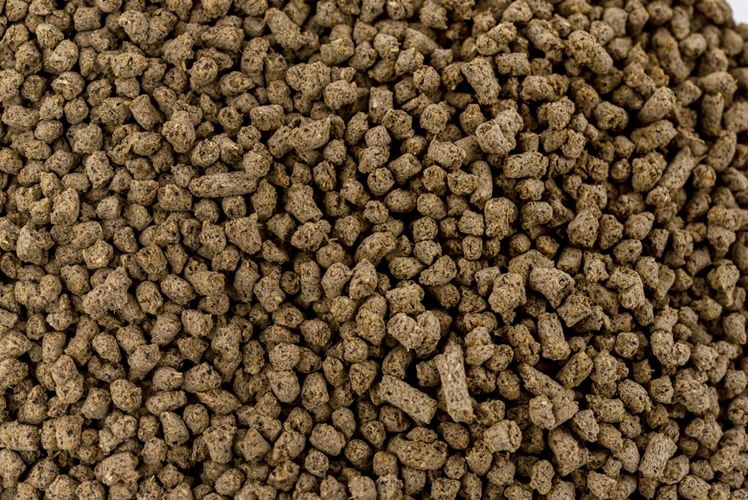 Granutec-Granulat aus dem Hause Hauert, ausgezeichnete Rieselfähigkeit und staubfreie Ausbringung. Alle Nährstoffe in einem Korn für eine möglichst gleichmäßige Düngewirkung auch bei geringen Aufwandmengen verteilt über 6 Düngegaben. Bild: Hauert.