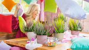 Kunterbunter Heidespaß mit den 5-farbigen Smixies® von Gardengirls®. Bild: Gardengirls®.
