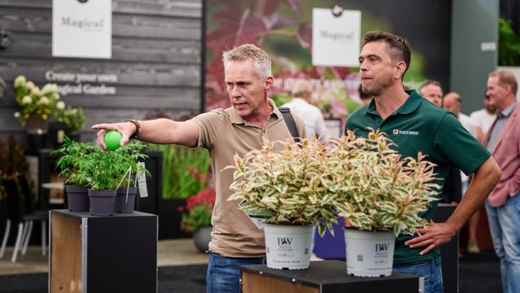 Am Mittwoch, dem 26., und Donnerstag, dem 27. August, findet in Hazerswoude-Dorp/Boskoop die PLANTARIUM|GROEN-Direkt-Herbstmesse statt. Bild: PLANTARIUM|GROEN-Direkt.