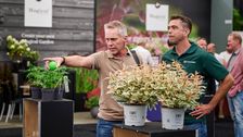 Am Mittwoch, dem 26., und Donnerstag, dem 27. August, findet in Hazerswoude-Dorp/Boskoop die PLANTARIUM|GROEN-Direkt-Herbstmesse statt. Bild: PLANTARIUM|GROEN-Direkt.