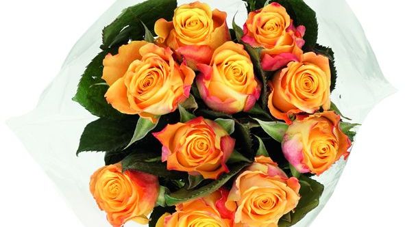 Einige Rosensträuße enthalten eine Vielzahl an  Pestiziden. Bild: ÖKO-Test.