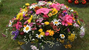 15. Hallenschau. Bild: IGa Berlin.