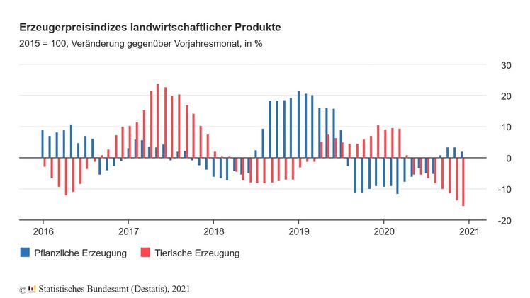 Die Preise für pflanzliche Erzeugnisse stiegen im Dezember 2020 gegenüber dem Vorjahresmonat um 2,2%. Bild: Destatis.