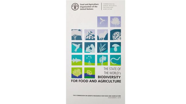 Nachhaltigere, widerstandsfähigere Ernährungssysteme sind gefragt. Bild: FAO/ BLE.