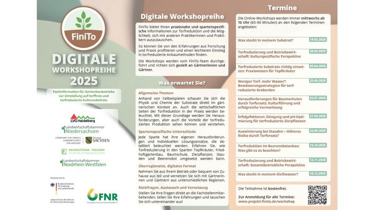 Digitale Workshopreihe. Bild: FiniTo.