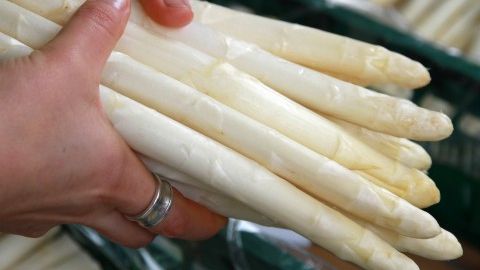 Die Spargelsaison hat begonnen. Bild: RP Gießen.