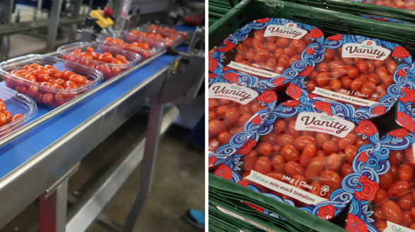 Für die Plastikschälchen mit der sogenannten Topseal-Folie verwendet das Unternehmen 100% recycelten Kunststoff. Bild: RedStar.