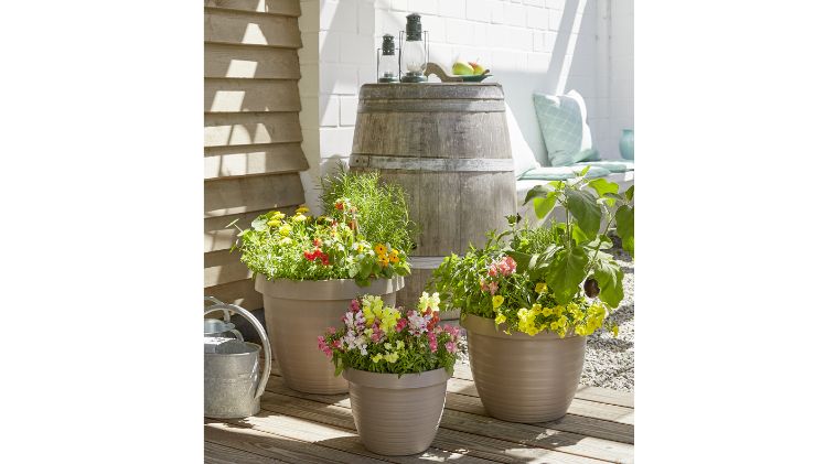 Für idyllische Lieblingsplätze die Serie Country Star. Bild: Scheurich.