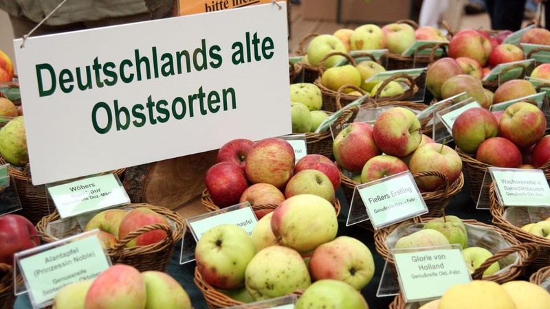Bad Zwischenahn Apfeltag im Park der Gärten Gabot.de