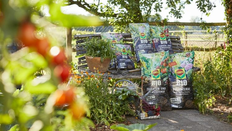 Als führender Anbieter von Markenartikeln für Pflanzen in Haus und Garten bietet COMPO Endverbrauchern europaweit ein breites Sortiment torffreier Blumenerden und Substratalternativen sowie Spezialprodukte zum torffreien Gärtnern an. Bild: © COMPO GmbH.