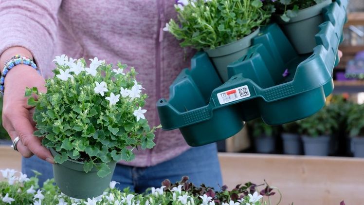 Euro Plant Tray setzt weitere Schritte zu mehr Nachhaltigkeit in der Grünen Supply Chain. Bild: Euro Plant Tray.