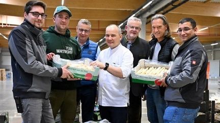 Im Bild von links: Leo Zastrow Vertriebsspezialist aus dem Spargelbüro, Spargellieferant und Pfalzmarkt-Erzeuger Tim Ballreich aus Dudenhofen, Pfalzmarkt-Vorstand Reinhard Oerther, Chefkoch Anatol Elert vom Turmrestaurant Ludwigshafen im Ebertpark, Hans-Jörg Friedrich und Christian Deyerling, Vorstand und Aufsichtsratsvorsitzender bei Pfalzmarkt eG sowie Vertriebsspezialist Hugo Da Mota aus dem Spargelbüro. Bild: Pfalzmarkt eG. 