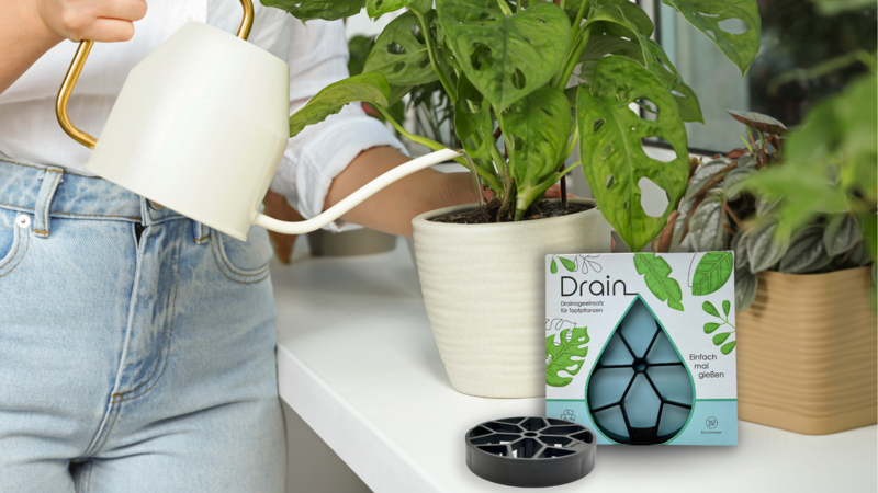 saatgut grohandel Bio-Saatgut  Trendbox