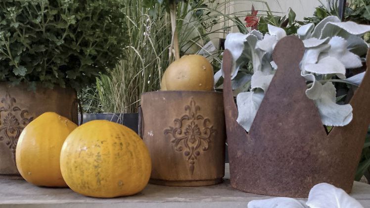 "Ultimativer Herbst-Feuer-Genuss" bei der Landesgartenschau Bad Dürrenberg. Bild: Colette Dörrwand.
