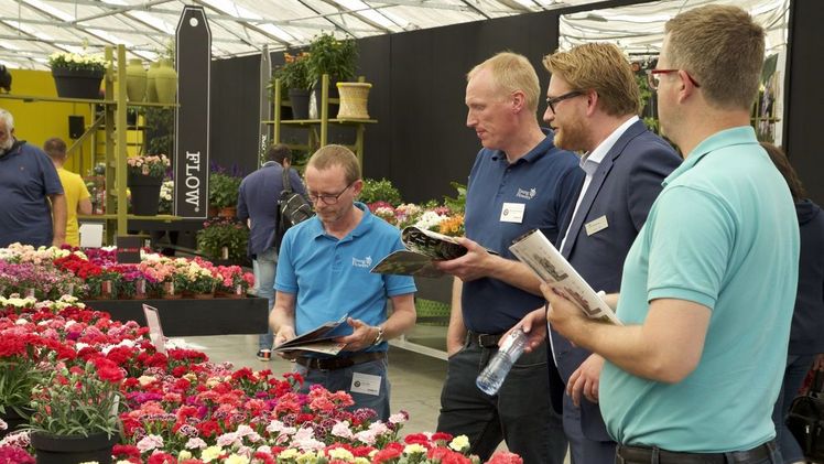 Hier stehen die Züchtungen im Mittelpunkt. Bild:  FlowerTrials®.