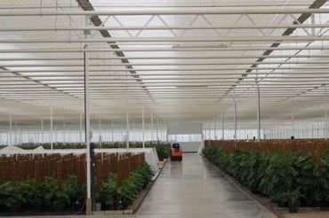 Große Produktionsflächen. Bild: GABOT.