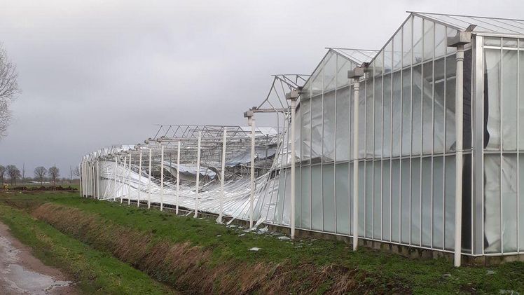 Neben meist kleineren (Glas-)Schäden wurden einzelne Betriebe in den Niederlanden am 18. Januar vergleichsweise stark durch „Friederike“ getroffen. Foto: GV.