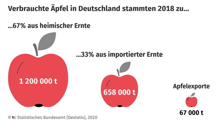 67% der verbrauchte Äpfel in Deutschland stammten aus heimischer Ernte. Bild: Destatis. 