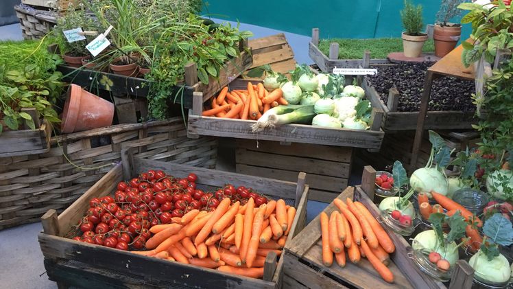 Praktische Tipps für Ernte und Lagerung von Obst und Gemüse aus dem eigenen Garten. Bild: BLGL. Praktische Tipps für Ernte und Lagerung von Obst und Gemüse aus dem eigenen Garten. Bild: BLGL.