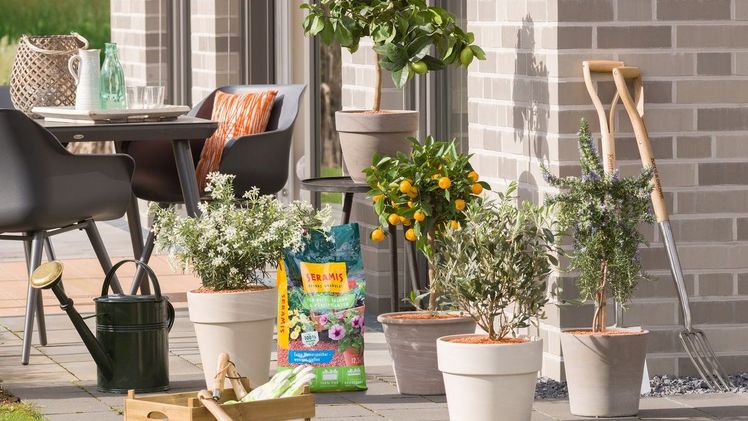 Seramis Pflanz-Granulat für Beet Balkon Kübelpflanzen. Bild: Seramis.