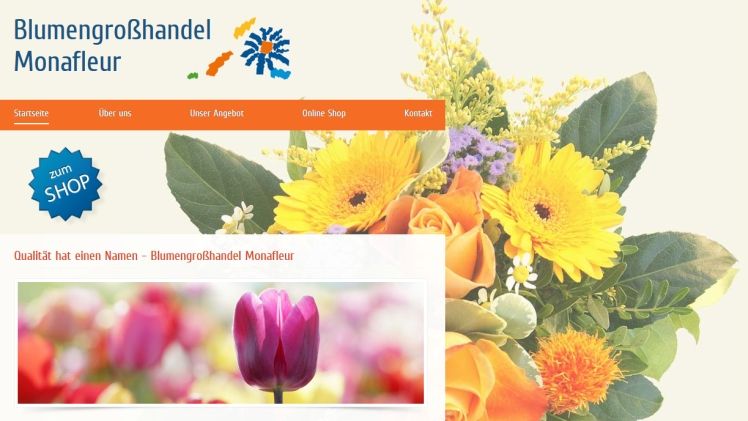 Abbildung der Internet-Seite von Monafleur. 