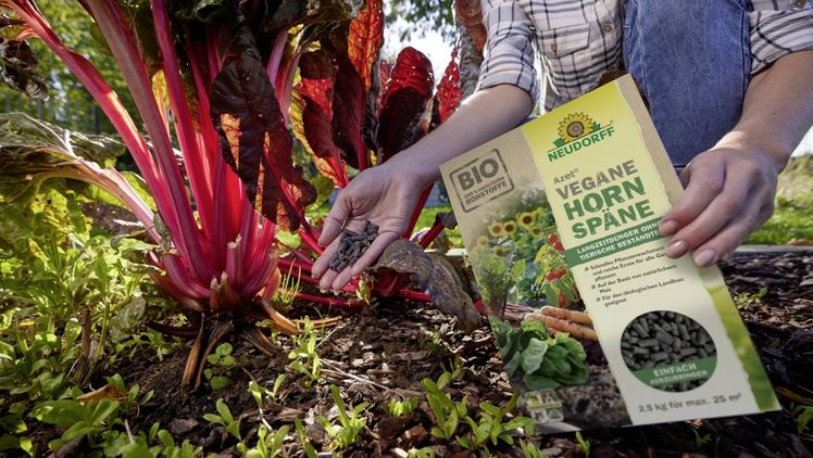 Azet Vegane Hornspäne von Neudorff erhielten eine Auszeichnung vom DIY Fachmagazin. Bild: Neudorff.