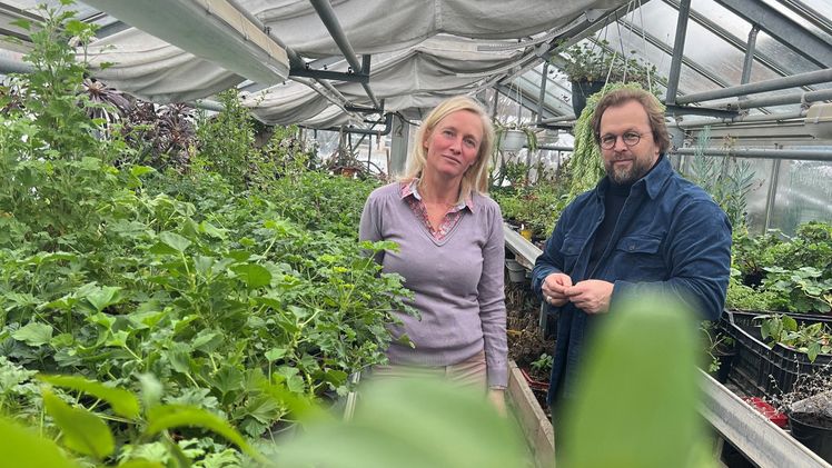 Jens Haentzschel mit Antje Lobenstein. Bild: Deutsches Gartenbaumuseum.