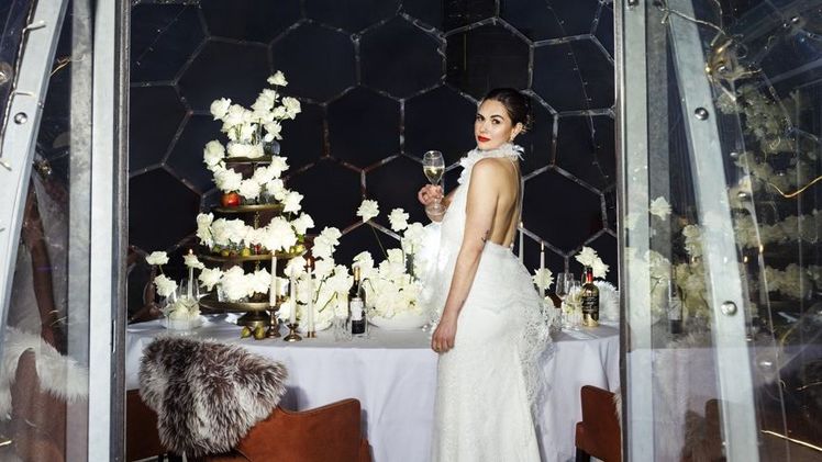 500 der weißen Edelrosen inszenierte das Team vom Blumenhaus am Hofgarten für das Fotoshooting - selbst nach Stunden des mehrfachen Umarrangierens sahen die Blüten weiterhin makellos aus und zeigten keinerlei Druckstellen. Bild: GPP/Klaudia Taday.