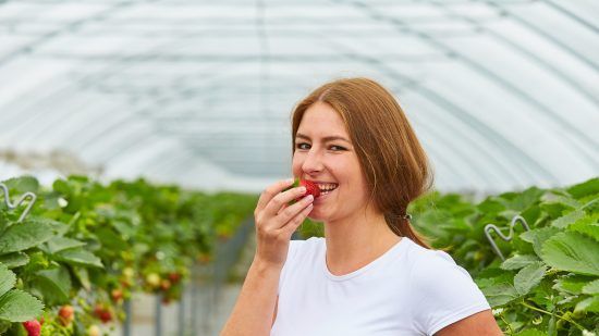 Erdbeeren enthalten das ultimative Schönheitsvitamin Biotin. Es ist ein Alleskönner, wenn es um die Schönheit von Haut und Haaren geht. Bild: GMH