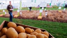 Auf den Versuchsfeldern und Demoflächen werden neue Sorten sowie der Einsatz von Dünge- und Pflanzenschutzmaßnahmen praxisnah präsentiert und vergleichbar gemacht. Bild: DLG.