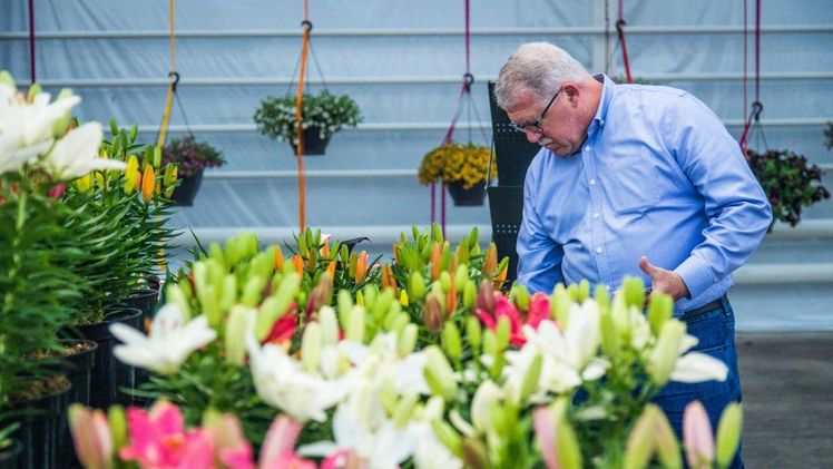 FlowerTrials® halten sich alle Möglichkeiten für Woche 24 offen. Bild: FlowerTrials.