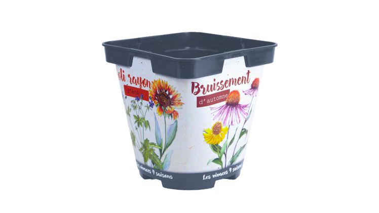 SOPARCO bietet eine umfassende Palette an Individualisierungsdienstleistungen für Töpfe und Container. Bild: SOPARCO.
