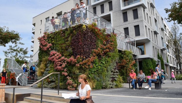 Das Hauptziel der Aktionswoche 2023: Der breiten Öffentlichkeit Gebäudebegrünung näherbringen. Bild: Bundesverband GebäudeGrün.