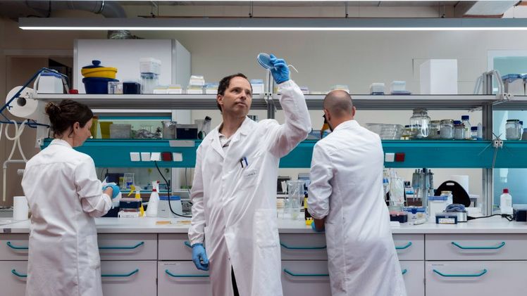 Das Labor für Molekularbiologie des Versuchszentrums Laimburg. Bild: © Laimburg Research Centre/ivo corrà.