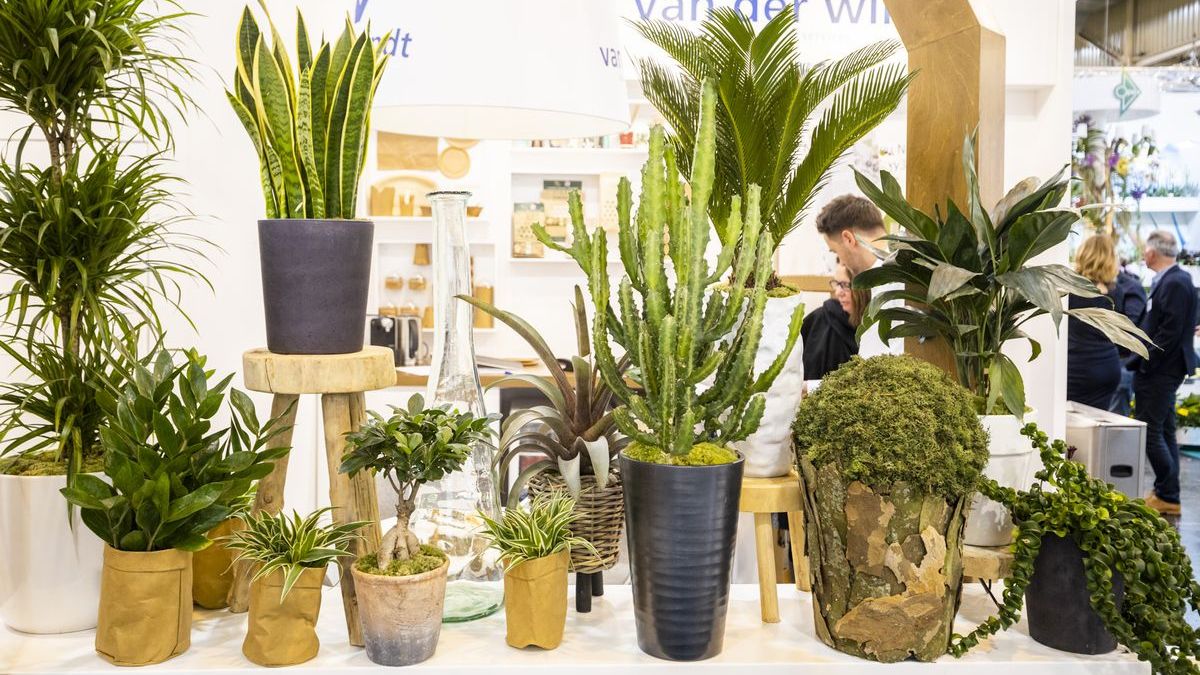 IPM ESSEN Zeigt Trends Und Neue Produkte Gabot de