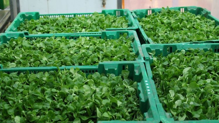 Das 1x1 der Warenkontrolle am 21. Februar 2025. Bild: GABOT.