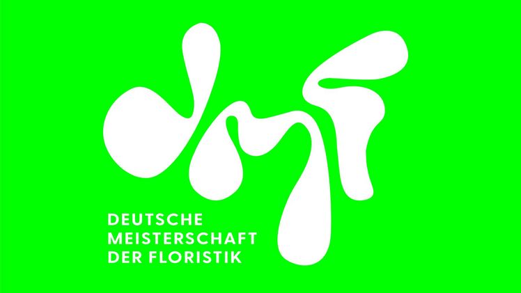 DMF 2024 in Berlin. Bild: FDF.