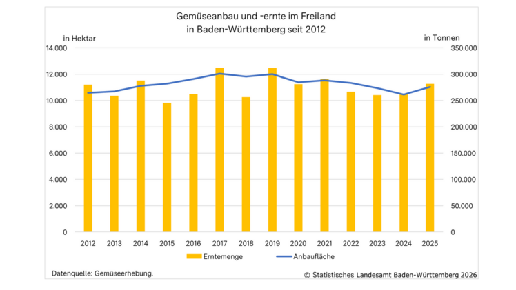Wieder mehr Gemüse im Freiland geerntet. Bild: Statistische Landesamt Baden-Württemberg.