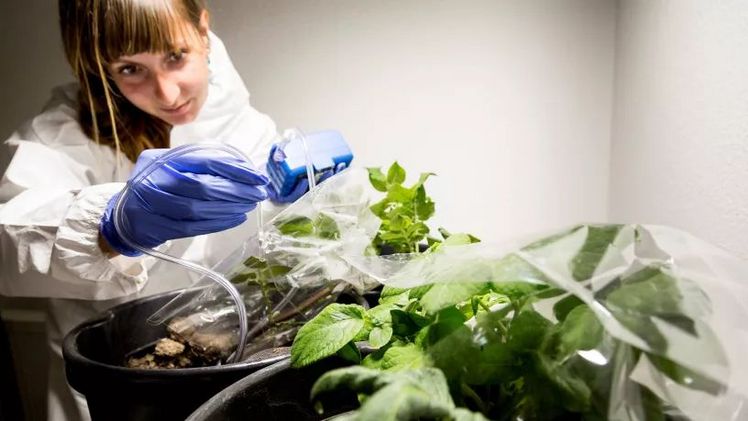 Doktorandin Sarah Vermeeren nahm in einem Quarantäneraum am Standort Rheinbach etwa 200 Messungen vor. Foto: Eric Lichtenscheidt/H-BRS. 