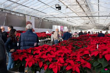 Impressionen von den Open Days bei Lazzeri. Bild: Lazzeri.