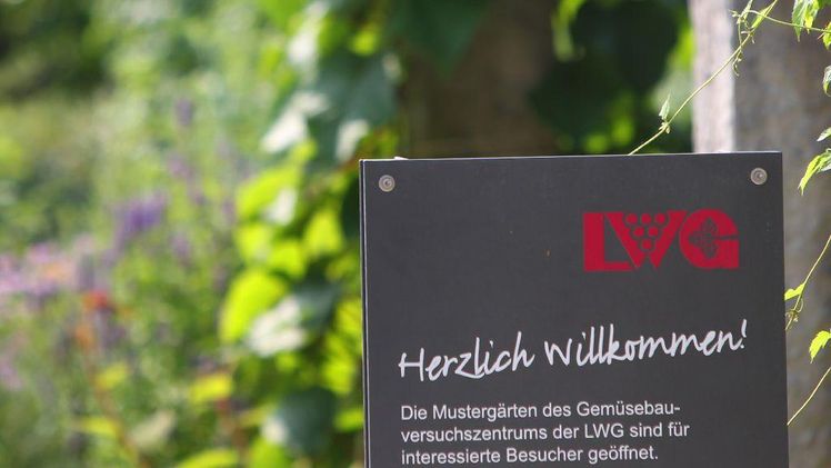 Öffnet in diesem Jahr leider nicht seine Tore: Der LWG-Versuchsbetrieb für Gemüsebau in Bamberg. Bild: Karl Josef Hildenbrand©LWG.