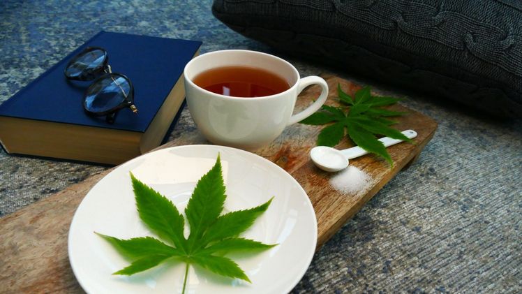 Der Blu Bio-Cannabis-Zuckerstrauch. Bild: Blu.