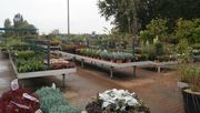 Baumärkte, Gartencenter und Pflanzenhändler müssen Umwelt- und Naturschutzversprechen künftig besonders sorgfältig prüfen. Bild: GABOT.