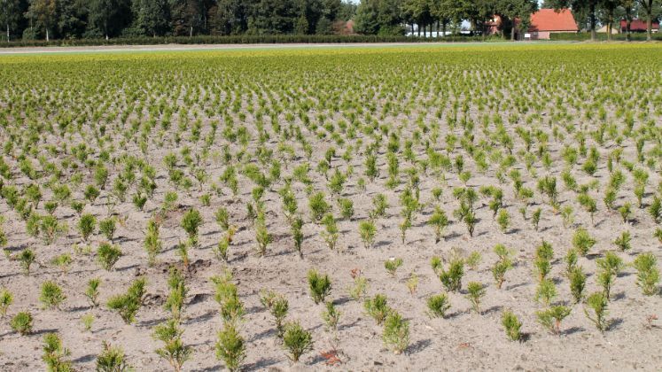 Geringer Rückgang der landwirtschaftlich genutzten Fläche in Sachsen-Anhalt. Bild: GABOT.